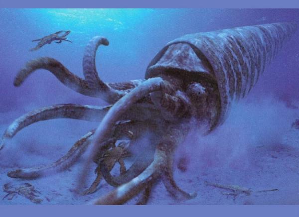 Cameroceras:
A giant squid like creature with a massive 40 foot cone shaped shell, the Cameroceras was basically a real life Kraken.