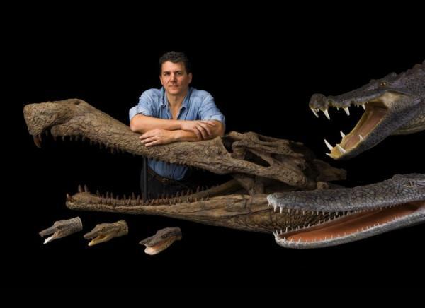 Sarcosuchus:
Rivaling the size of a T-rex, this giant lizard could grow past 40 feet.