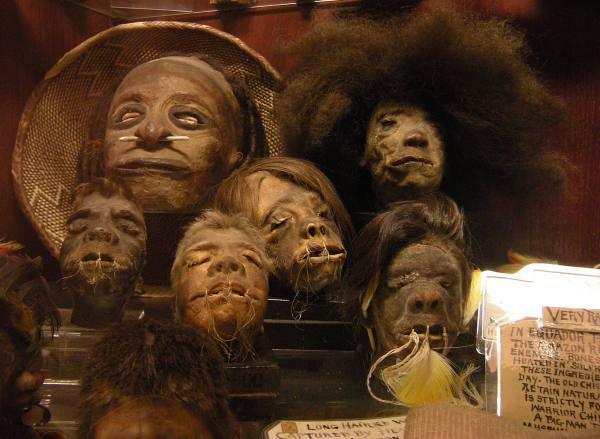 Shrunken pygmy heads, No one really knows why he spent his money on these, but he did.