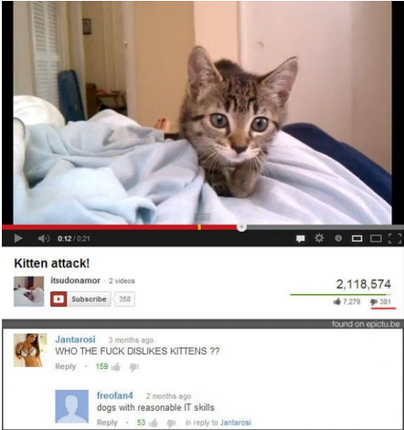 youtube comment kitten roar gif - 0.12 Kitten attack! itsudonamor 2 videos Subscribe 358 2,118,574 7.279 380 found on pictube Jantarosi 3 months ago Who The Fuck Dis Kittens ?? 159 freofan4 2 months ago dogs with reasonable It skills 53 to Jantarosi