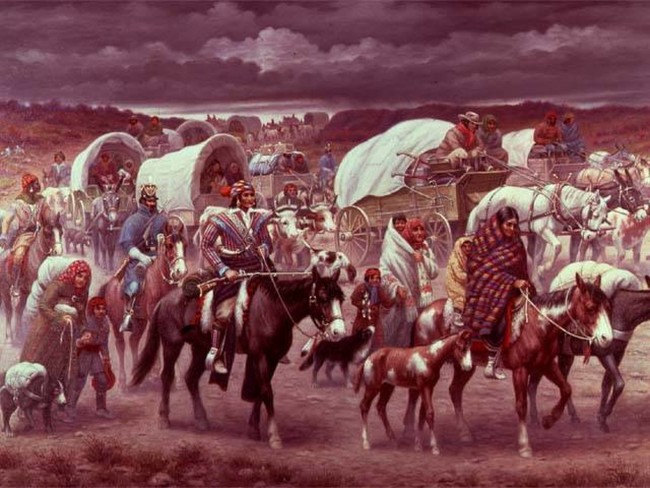 Indian Removal Act: After President Andrew Jackson signed the act, which allowed Native Americans to be forcibly removed from their lands, entire populations were marched west. Thousands died of hunger, exposure, and disease in one of America's darkest hours.