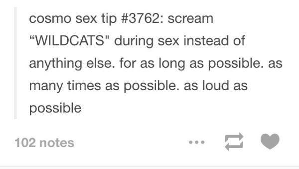 tumblr - cosmo sex tip scream Wildcats" during sex instead of anything else. for as long as possible. as many times as possible. as loud as possible 102 notes