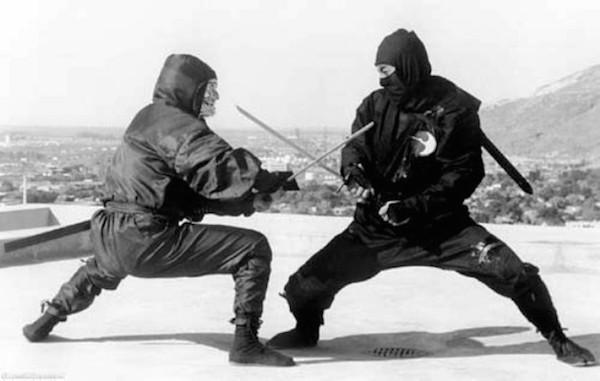 The martial art discipline the TMNT practice is called ninjutsu. It’s a strategy and tactics of unconventional and guerrilla warfare originating in Japan almost a thousand years ago.