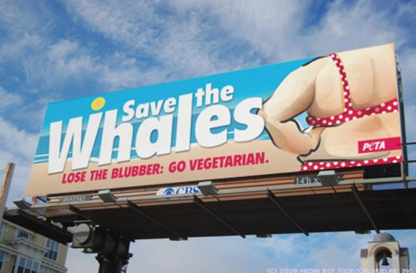 peta save the whales - Wkates Peta Lose The Blubber Go Vegetarian.