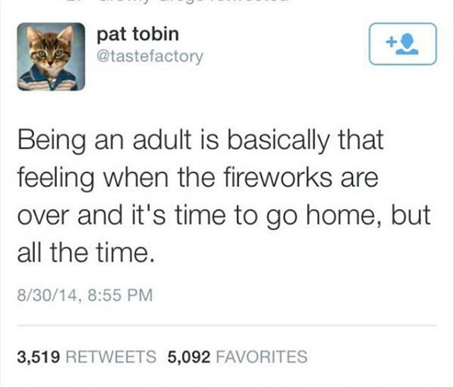 neil degrasse tyson football tweet - pat tobin Being an adult is basically that feeling when the fireworks are over and it's time to go home, but all the time. 83014, 3,519 5,092 Favorites