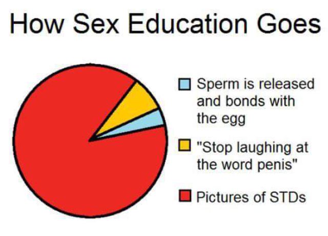 we need sex - How Sex Education Goes Sperm is released and bonds with the egg I