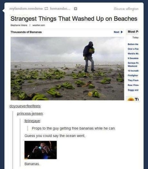 you fell asleep you fucking retard meme - myfandomneedsmehemansbo... Source effington Strangest Things That Washed Up on Beaches Shane Weather.com Thousands of Bananas Next Most P Today Defore the Over Foc Words Mc Deste Serious Weekend 10 Incredit Firefi