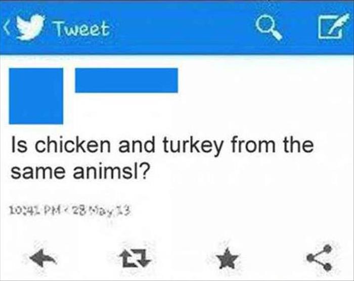 dumb things on social media - y Tweet Is chicken and turkey from the same animal? 28 May 13