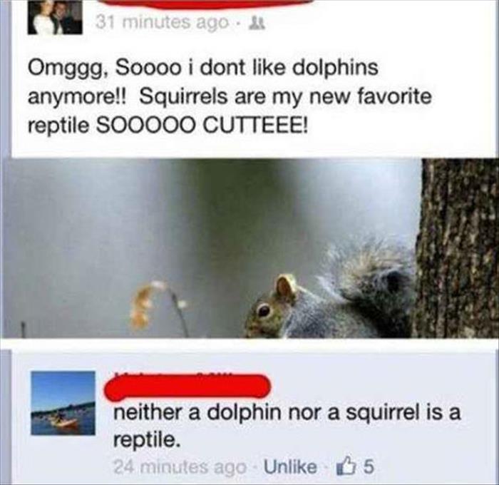 dumbest social media posts - 31 minutes ago. Omggg, Soooo i dont dolphins anymore!! Squirrels are my new favorite reptile SOO000 Cutteee! neither a dolphin nor a squirrel is a reptile. 24 minutes ago Un 5