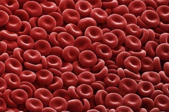 Red Blood Cells : Red blood cells bare a striking resemblance to red cheerios, if they existed