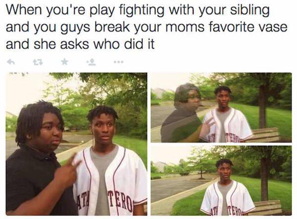 sibling struggles - When you're play fighting with your sibling and you guys break your moms favorite vase and she asks who did it