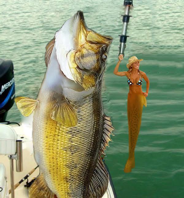 photoshop photoshop fishing
