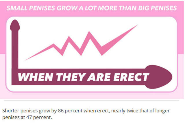 12 Things You Probably Didn’t Know about Penises in General