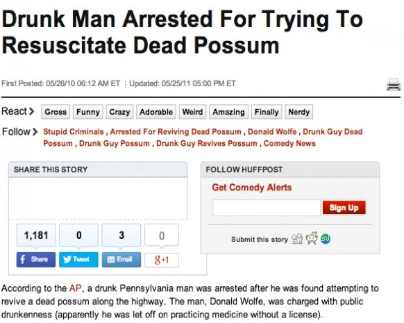 16 Crazy Arrests That Will Have You scratching your head