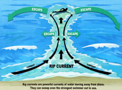 rip currents - Escape Escape Escape Escape Current Rip Current Current Rip currents are powerful currents of water moving away from shore. They can sweep even the strongest swimmer out to sea.
