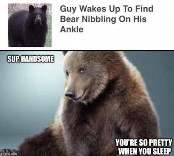 cute bear - Guy Wakes Up To Find Bear Nibbling On His Ankle Sup, Handsome You'Re So Pretty When You Sleep imgflip.com