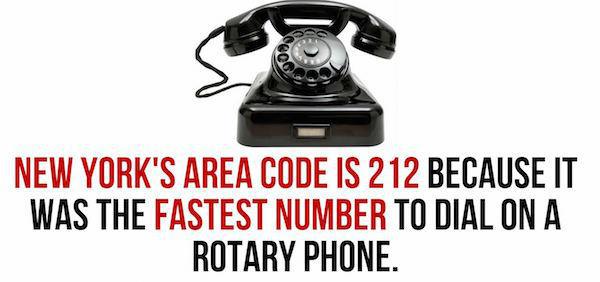 31 bizarre facts for you