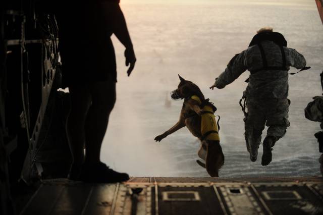 Here, a US soldier in the 10th Special Forces Group jumps off the ramp of a Chinook helicopter with his military working dog during an exercise.