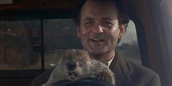 Groundhog Day (1993): Bill Murray was bitten by the groundhog twice during shooting. Murray had to have anti rabies injections because the bites were so severe.