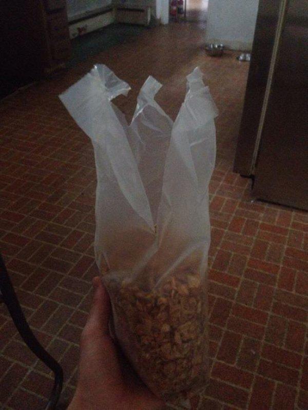 torn cereal bag