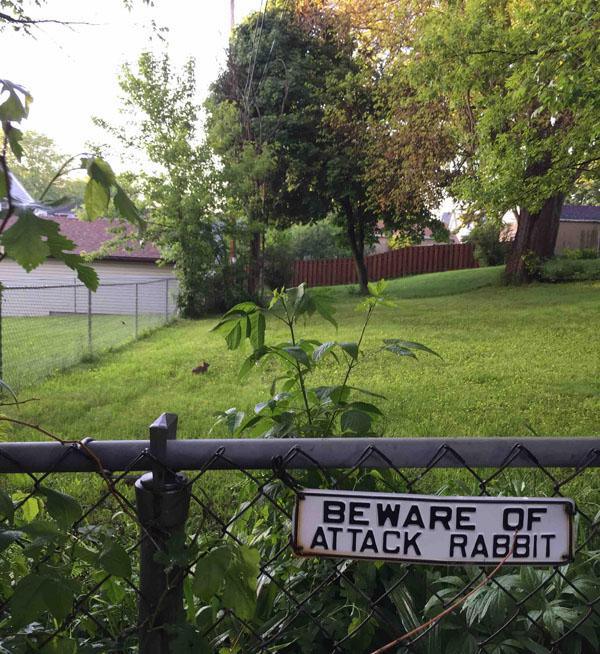 beware of attack rabbit sign - Beware Of Attack Rabbit