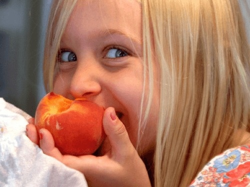 Children with higher IQs are more likely to become vegetarians.