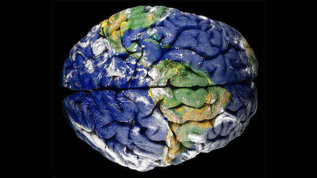 "Brain Geography" Is A Real Thing You Can Actually Study. The individual folds, structures, nooks, and crannies of your brain are as specific as any map or globe. Scientists keep an actual 'Atlas Of The Brain' to help them find specific parts and what not. Some scientists spend entire careers mapping out smaller and smaller areas of the brain -- for a great reason. The brain is so insanely complicated, that major functions could be handled by some of the smallest components. The more specific our understanding of the brain's structure -- the better we can pinpoint what does what.