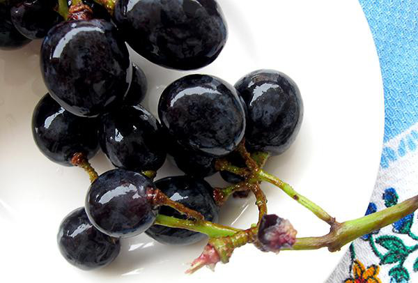 Grapes: The chemicals and compounds that are toxic to dogs are still unknown. If a dog eats grapes or raisins it can cause rapid kidney failure. They can also develop vomiting, diarrhea, dehydration, and lack of appetite. In severe cases, death from kidney failure may occur within three to four days.