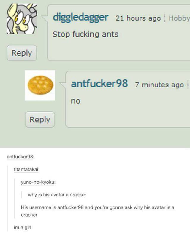 18 times tumblr comments made pictures better