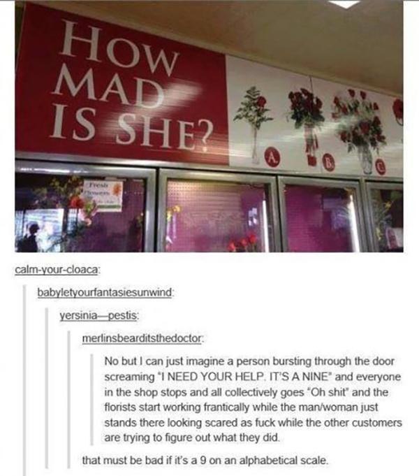 flower shop funny - How Mad Is She? Fres calmyourcloaca babyletyourfantasiesunwind yersiniapestis merlinsbearditsthedoctor No but I can just imagine a person bursting through the door screaming "I Need Your Help. It'S A Nine" and everyone in the shop stop