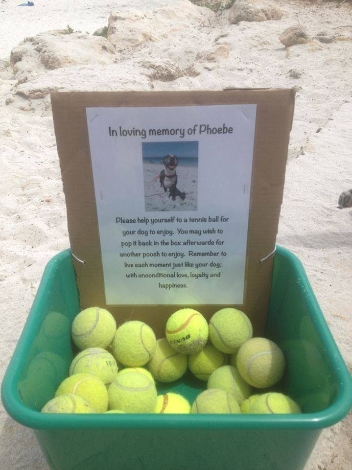 Cute doggy beach memorial