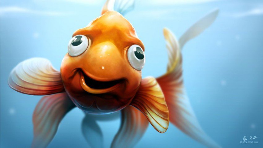 You have the memory of a Goldfish: It is false that Goldfish have an extremely short memory. They have even been trained to do tricks.