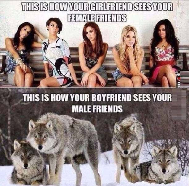 male friends vs female friends - This Is How Your Girlfriend Sees Your Female Friends This Is How Your Boyfriend Sees Your Male Friends