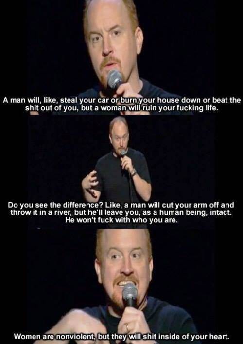 louis ck men vs women - A man will, , steal your car or burn your house down or beat the shit out of you, but a woman will ruin your fucking life. Do you see the difference? , a man will cut your arm off and throw it in a river, but he'll leave you, as a 