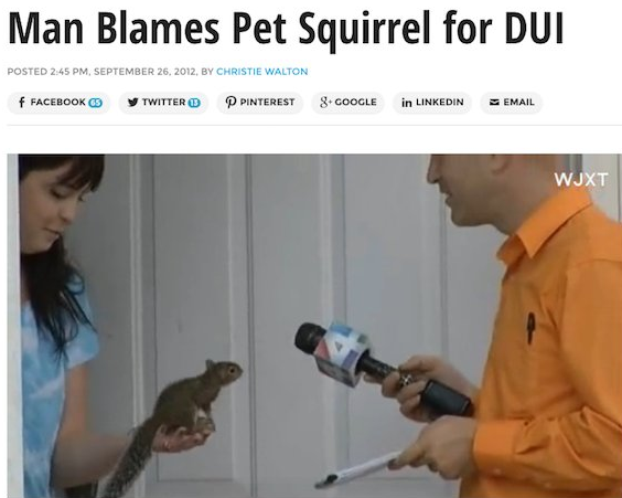 shoulder - Man Blames Pet Squirrel for Dui Posted , , By Christie Walton f Facebook Twitter O P Pinterest 8 Google in Linkedin Email Wjxt