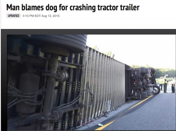 iron - Man blames dog for crashing tractor trailer Updated Edt