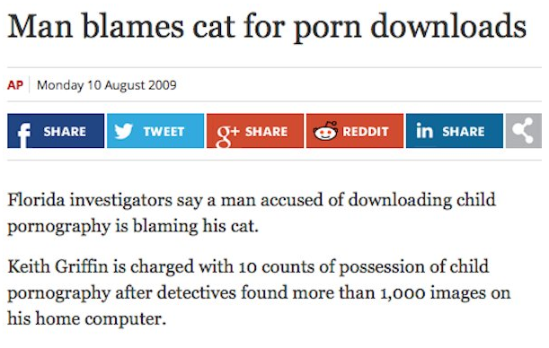 man blames cat for porn - Man blames cat for porn downloads Ap Monday f V Tweet Q Reddit in Florida investigators say a man accused of downloading child pornography is blaming his cat. Keith Griffin is charged with 10 counts of possession of child pornogr
