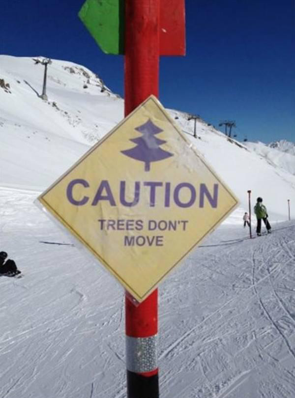 obvious obvious signs - Caution Trees Don'T Move