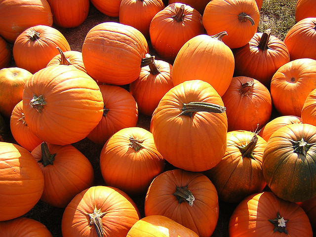 Pumpkins are technically berries.