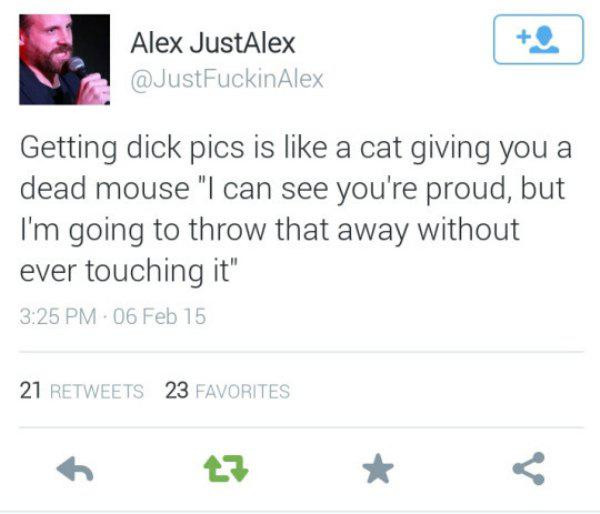 funny tweets - Alex JustAlex Getting dick pics is a cat giving you a dead mouse "I can see you're proud, but I'm going to throw that away without ever touching it" 06 Feb 15 21 23 Favorites