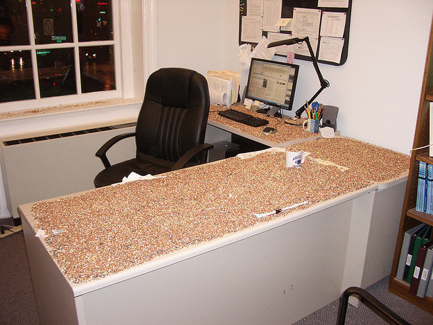 Re-imagining someone’s desk as an ideal place to scatter birdseed.