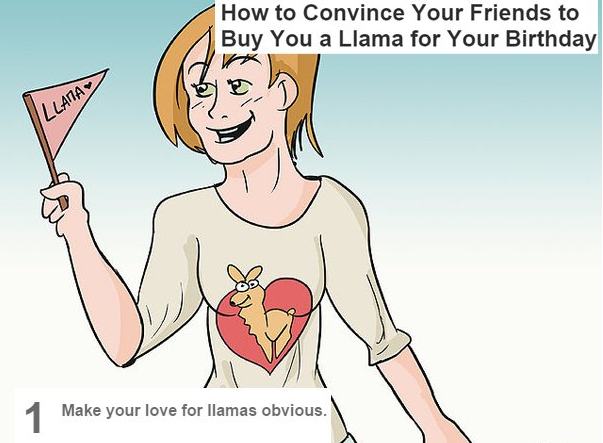 worst wikihow - How to Convince Your Friends to Buy You a Llama for Your Birthday Llana Make your love for llamas obvious.