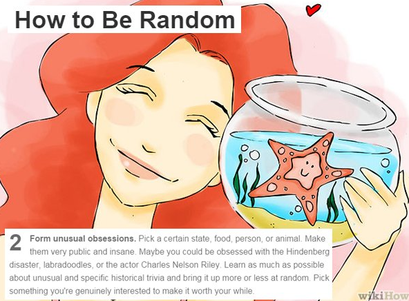 wikihow memes - How to Be Random Form unusual obsessions. Pick a certain state, food, person, or animal. Make them very public and insane. Maybe you could be obsessed with the Hindenberg disaster, labradoodles, or the actor Charles Nelson Riley Learn as m