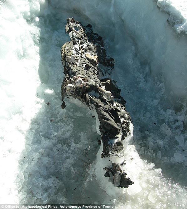 Thanks to global warming, a melting glacier in the Northern-Italian Alps is slowly revealing the corpses of soldiers who died in the First World War. After decades of being trapped in a glacier, the frozen bodies appear to be perfectly mummified from the ice.

In 1915, ten months before the start of World War I, Italy decided to join the Allied Forces. In an effort to expand its borders and add the mountainous areas of Trentino and Southern Tirol, Italy waged war with Austria. Thus began “The White War”— a cold, four-year-long conflict between Italian mountain troops, named “the Alpini," and their Austrian opponents, “the Kaiserschützen."

“The White War” was fought in high altitudes and ice trenches. Soldiers from each side used explosives to cause avalanches (“the white death”) in each other's camps. 

One hundred years later, the effects of global warming are causing the Presena glacier running through the battleground to melt. At first, smaller items were found streaming down hillsides with the melting glacier, but now the bodies of soldiers who fought in the war are following suit. Due to the extreme cold, the remains of two Austrians emerged from the ice almost completely intact. Still in their uniforms were the bodies were of two, blue-eyed, blonde teen soldiers with bullet holes in the backs of their heads.

To date, more than 80 bodies have appeared from the depths of the glacier. All of them pass through the office of a forensic anthropologist, Daniel Gaudio, tasked to trace the identities of the war victims.

At long last, at least there is some sense of closure for the families of the soldiers.