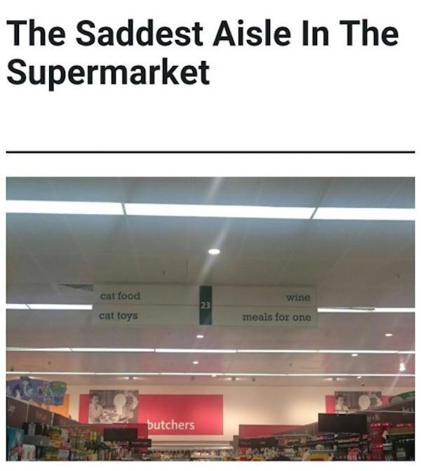saddest aisle in the supermarket - The Saddest Aisle In The Supermarket wine cat food cat toys meals for one butchers