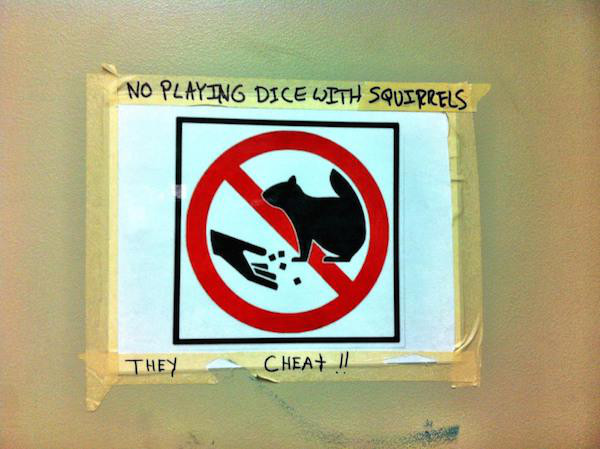 don t play dice with squirrels - No Playing Dice With Squirrels They Chea 1l