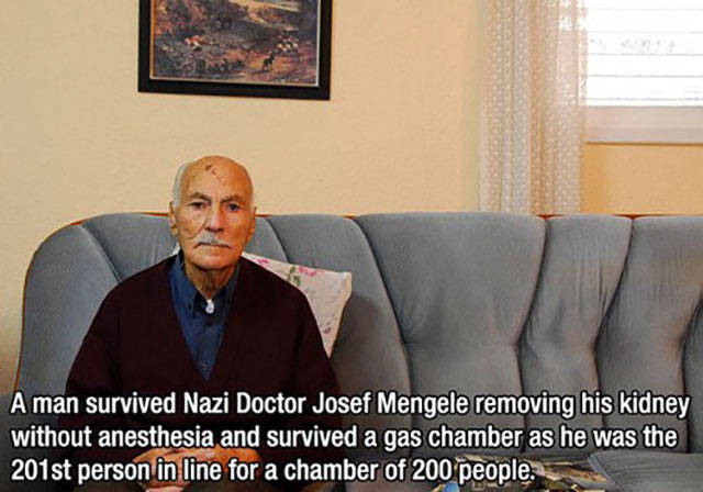 auschwitz doctor mengele - A man survived Nazi Doctor Josef Mengele removing his kidney without anesthesia and survived a gas chamber as he was the 201st person in line for a chamber of 200 people.
