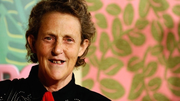 Temple Grandin is perhaps the world's most famous person with autism. She has exceptional nonverbal intelligence and spatial memory. 

A professor of animal sciences at Colorado State University, Grandin is an outspoken advocate for autism research and awareness. She overcame speech problems early in life and went on to become an author and activist for causes tied to animal welfare. She has a Ph.D. in animal sciences and is an expert and consultant on animal behavior. She also invented the "Hug Box," a machine that helps people with autism-related disorders deal with anxiety. 

Grandin headlined a 2010 TED Talk in California on understanding autism, entitled "The world needs all kinds of minds," and Time magazine has listed her among the world's most influential people.

In her book, The Autistic Brain: Thinking Across The Spectrum, Grandin draws on her own experience and the latest research to broaden the public's understanding of the challenges faced by people on the autism spectrum, and how to make the most of their unique strengths and abilities.
