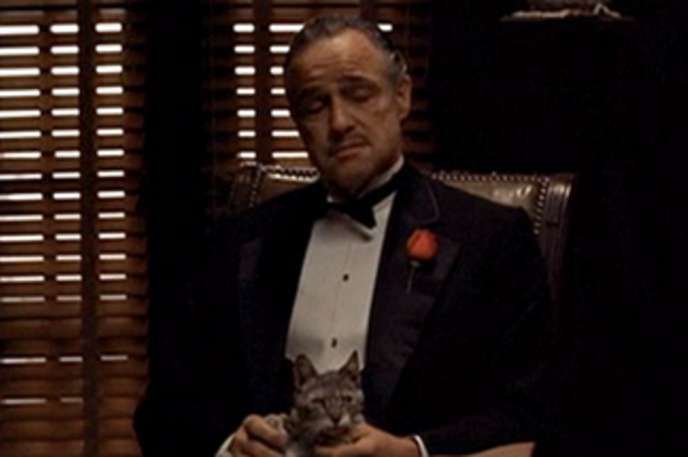 Don Corleone’s cat-stroking in The Godfather: Marlon Brando is widely heralded as one of the greatest improvisers in the business. A stray cat was found wandering around on set and Brando came up with the idea to gently stroke the cat on his lap while ordering mob violence, a scene that has been recreated many times since and helped set The Godfather up as a classic.
