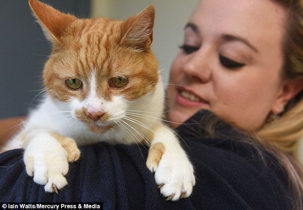 As of August 2015, Cravendale the rescue cat is looking for a new home. Potential owners will have to lock up their cupboards because the unusual feline was born with thumbs which he uses to his advantage.

The cat's extra digits allow him to climb like a human and he also uses them to pick up his toys at the RSPCA Centre in Warrington, where he currently resides.

Normally, cats have 18 toes on their paws, but Cravendale has four extra digits, two on his front paws and two on his back paws.

Cravendale has a genetic condition called polydactylism. Polydactylism is a congenital abnormality associated with inbreeding and other health problems, but the cat isn't showing any signs of those.